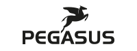 Pegasus Fahrräder und E-Bikes leasen